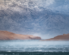 palcic-photgaphy.com_6953