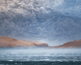 palcic-photgaphy.com_6953