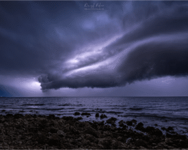 palcic-photography.com_002