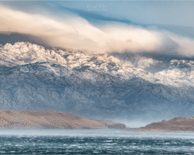 palcic-photography.com_6931