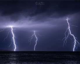 palcic-photography.com_512