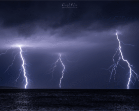 palcic-photography.com_512