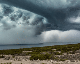 palcic-photography.com shelf cloud storm
