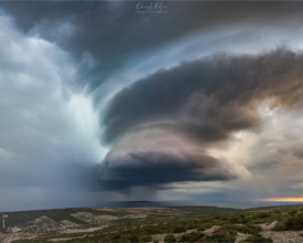 PALCIC-PHOTOGRAPHY.COM_45678 (1)