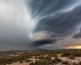 PALCIC-PHOTOGRAPHY.COM_45678