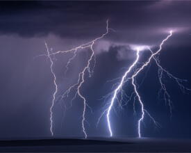 palcic-photography_002