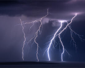 palcic-photography_002