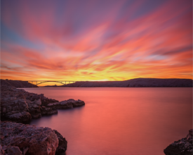 palcic-photography.com (2)
