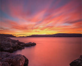 palcic-photography.com (2)