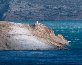 palcic-photography.com437548