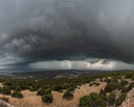 palcic-photography.com_3242 (2)