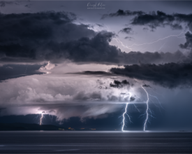 palcic-photography.com_32424