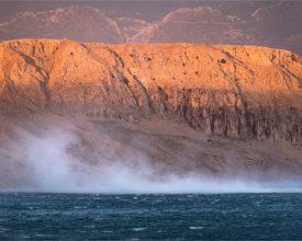 palcic-photography.com_34