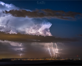 palcic-photography.com_433