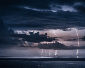 palcic-photography.com_45353