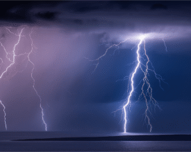 palcic-photography.com_64545