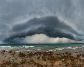 palcic-photography.com_678990 (1)