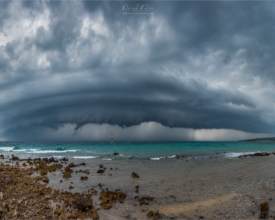 palcic-photography.com_678990 (4)