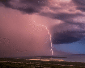 palcic-photogrphy.com_445454